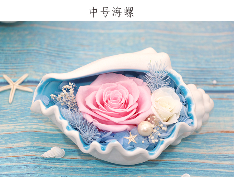 瑞仕兹(ruishizi)礼盒套装其他 瑞仕兹 圣诞节永生玫瑰花海螺造型摆件