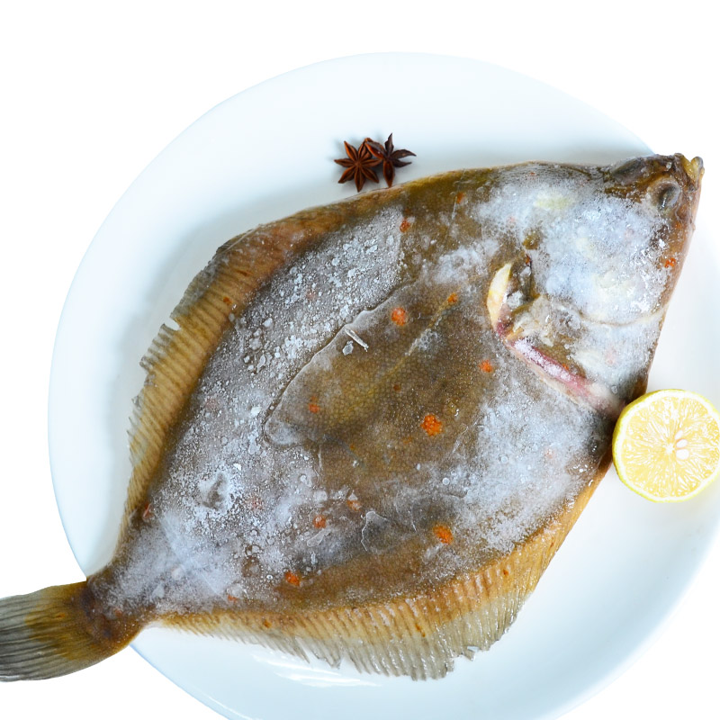 xj偏口鱼500g比目鱼碟鱼新鲜鱼海鱼鲽鱼鲆鱼鲜活可开发票