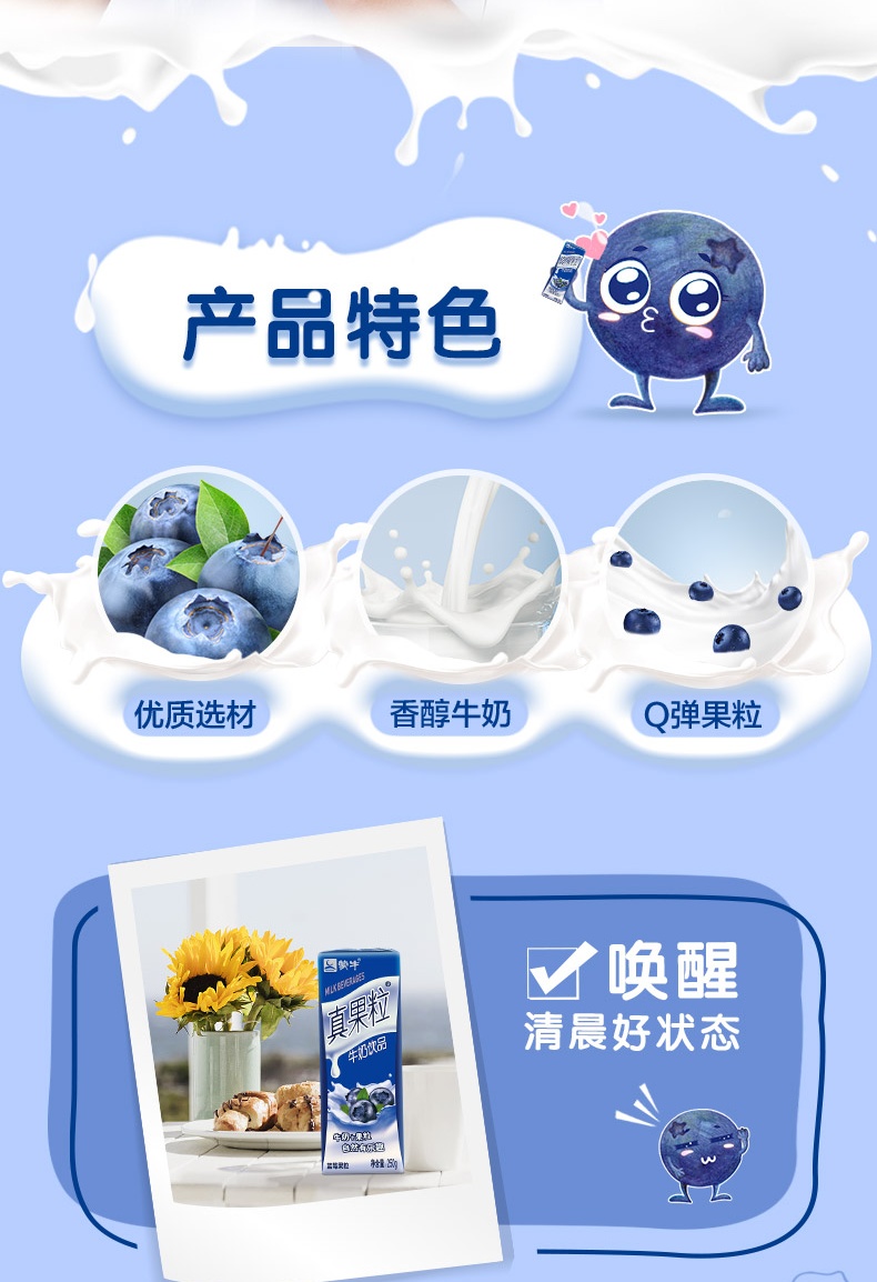 蒙牛真果粒牛奶饮品蓝莓250g12礼盒装