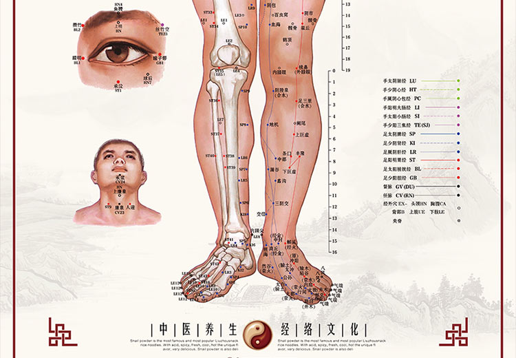 艾灸穴位圖人體經絡穴位圖人體穴位圖大掛圖解全身中醫家用針灸男油畫