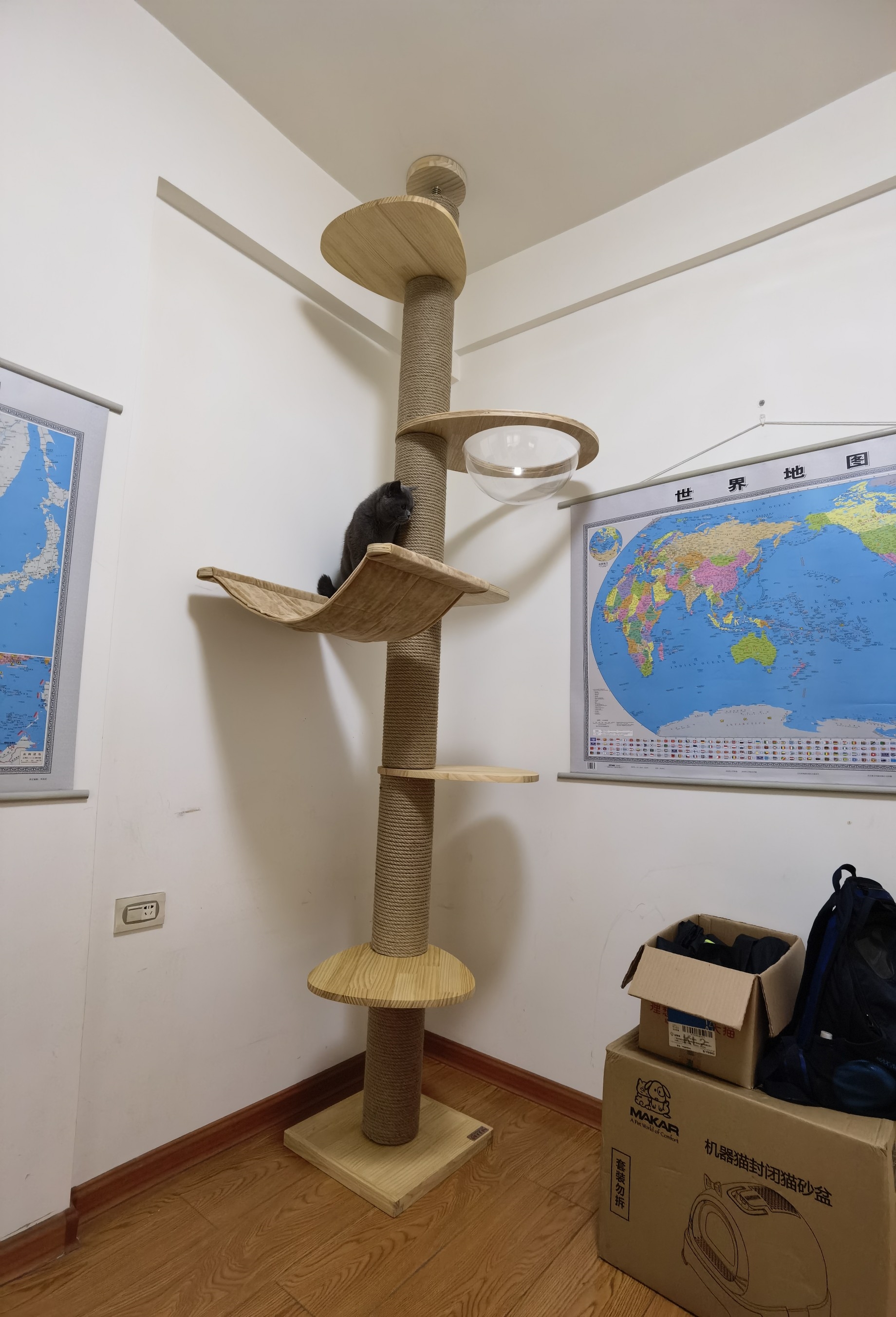 武速达宠物玩具 大型猫爬架通天柱太空舱猫爬柱武速达猫窝猫树顶天立