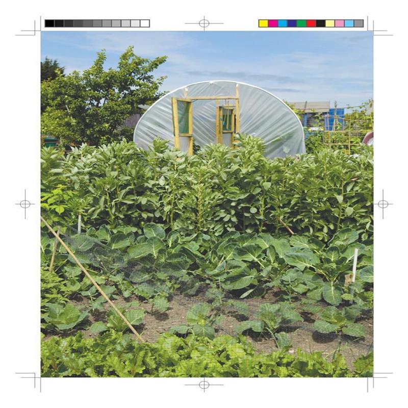 家庭有機蔬菜種植完全手冊