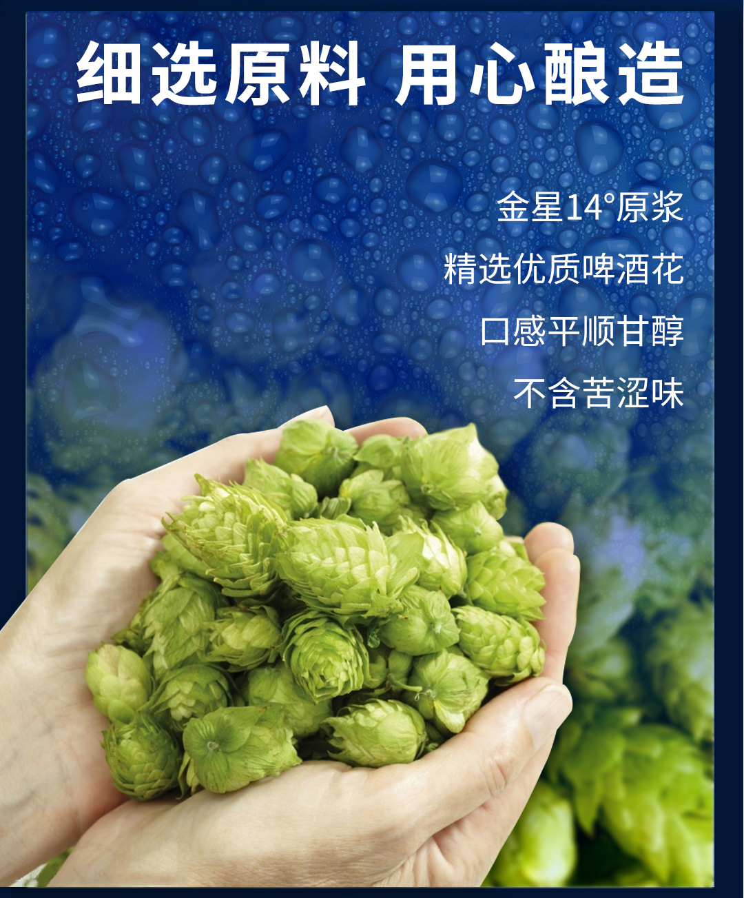 金星啤酒原浆精酿14度高浓度500ml12瓶装整箱官方直营