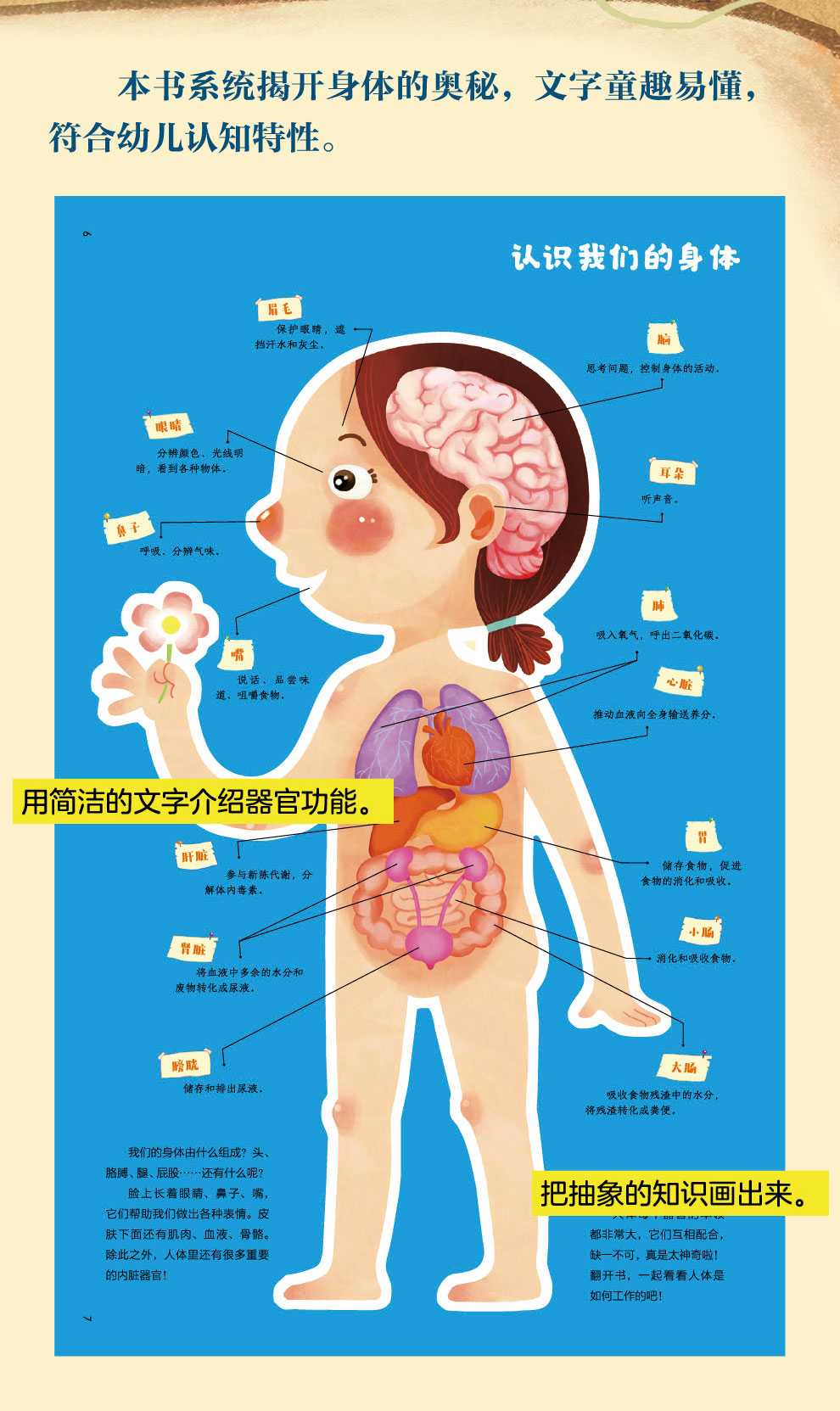 《【诺森正版】身体认识我自己硬壳儿童揭秘身体科普百科绘本人体的