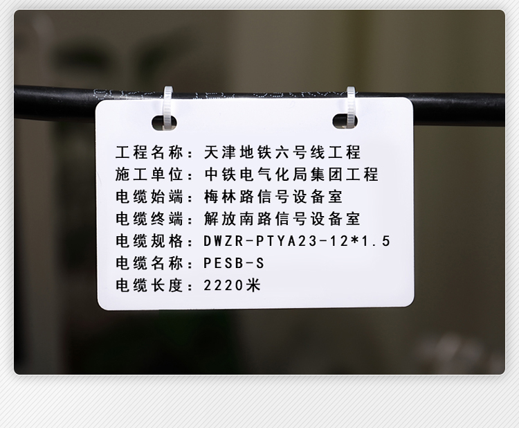 中云智创通信机房标识牌电缆挂牌塑料光纤空白标3268三孔100张装