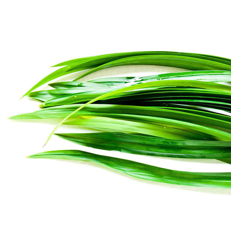 有检疫证泰国香兰叶250g斑斓叶新鲜香料