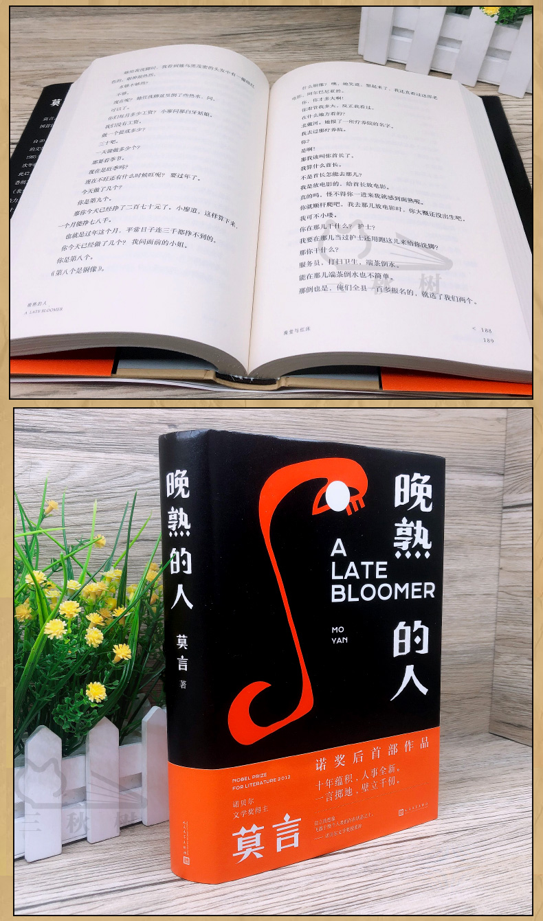 《【诺森正版】莫言新书 晚熟的人正版 莫言获得诺贝尔文学奖后小说