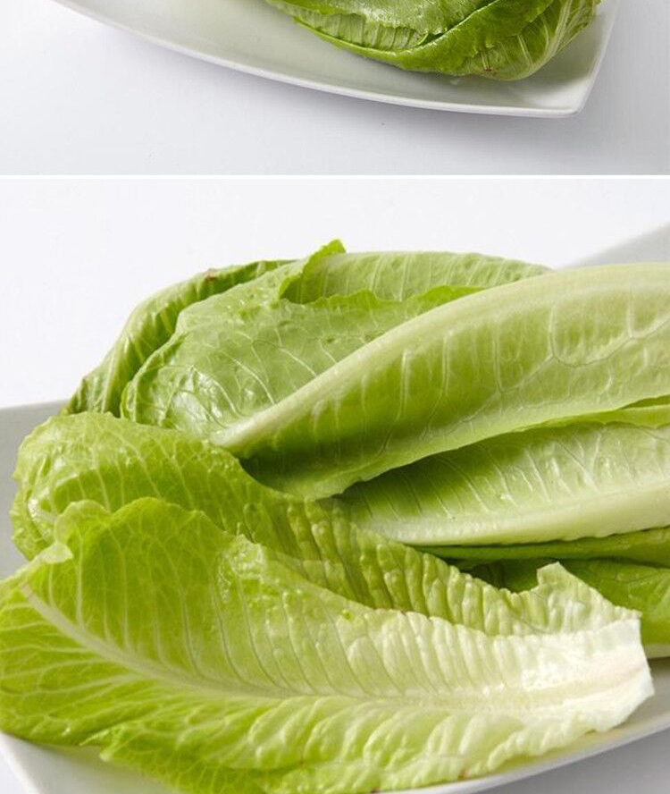 盒装是否有机:非有机产地:中国上海上海市国产/进口:国产类别:生菜