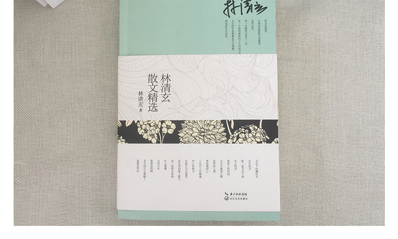 《余秋雨散文 林清玄散文精选 全2册 林清玄余秋雨经典作品合集 红心