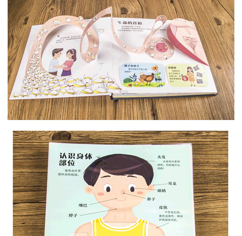 超级新品 身体的秘密儿童绘本 3-4-6-10-12岁我们的身体3d立体书 小