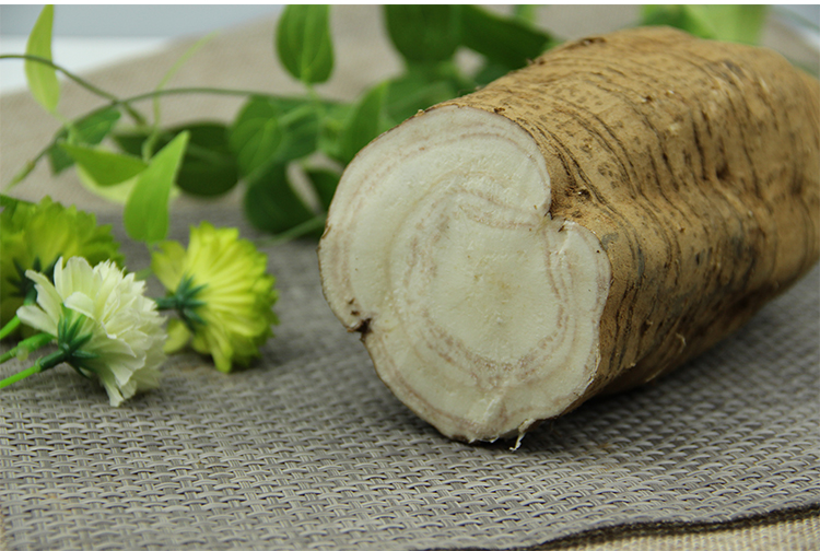2.5kg 新鲜葛根 大山鲜葛根 新鲜粉葛根