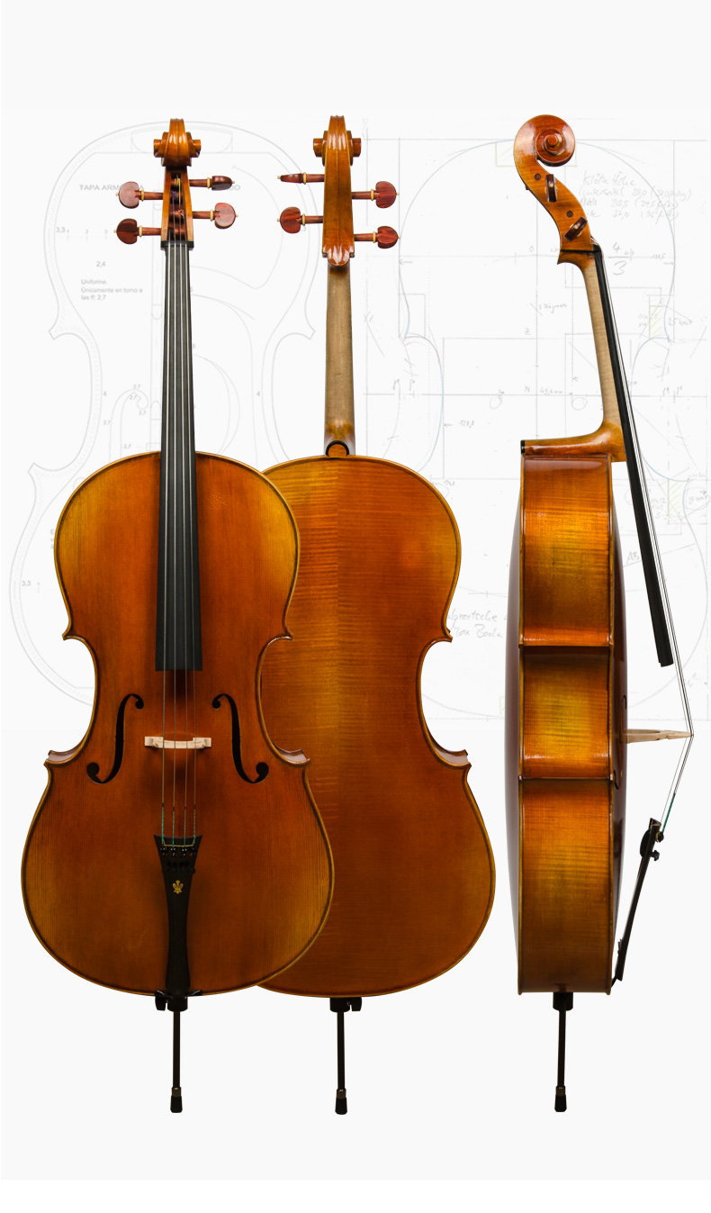 克莉丝蒂娜(christina)弦乐器s300a大提琴 大提琴 christina sc300a