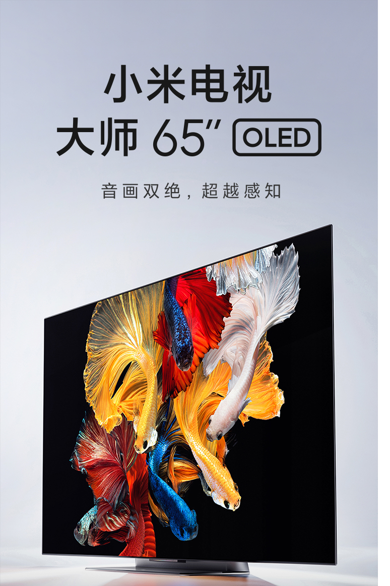 小米(mi)平板電視 小米電視 大師 65英寸oled 小米電視大師 65英寸