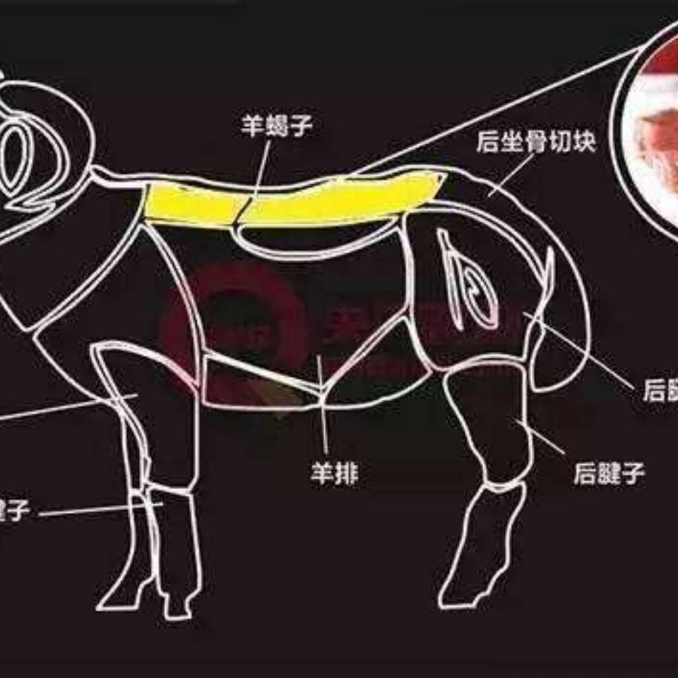 顺丰多肉羔羊蝎子羊脊背肉多羊蝎子清真羊肉新鲜羔羊脊骨多肉羊蝎子2
