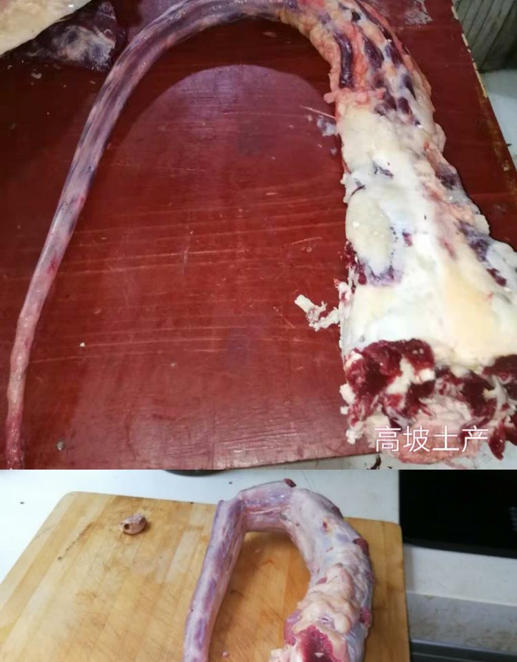 超级新品 生整根牛尾巴1个 3-4斤 新鲜牛副 非牛肉 产发