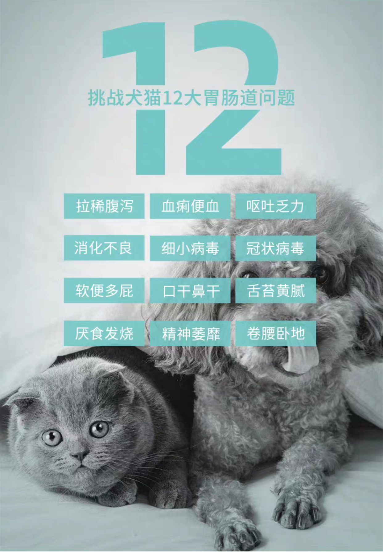 美里美亚宠物保健美里美亚宠物狗呕吐肠胃胃炎疾病调理胃酸过多西米替丁 