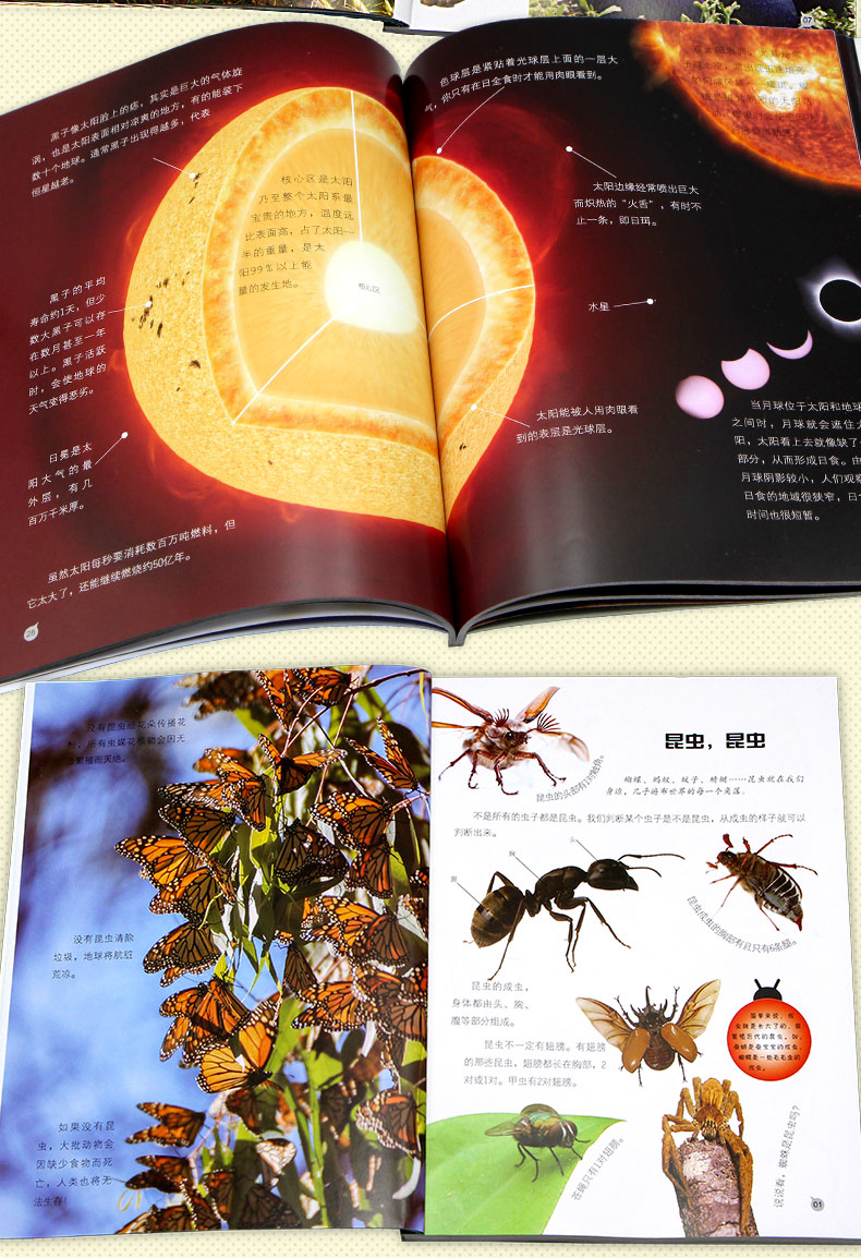 暴读百科全套3册宇宙昆虫动物书中国少年儿童百科全书图书青少年版