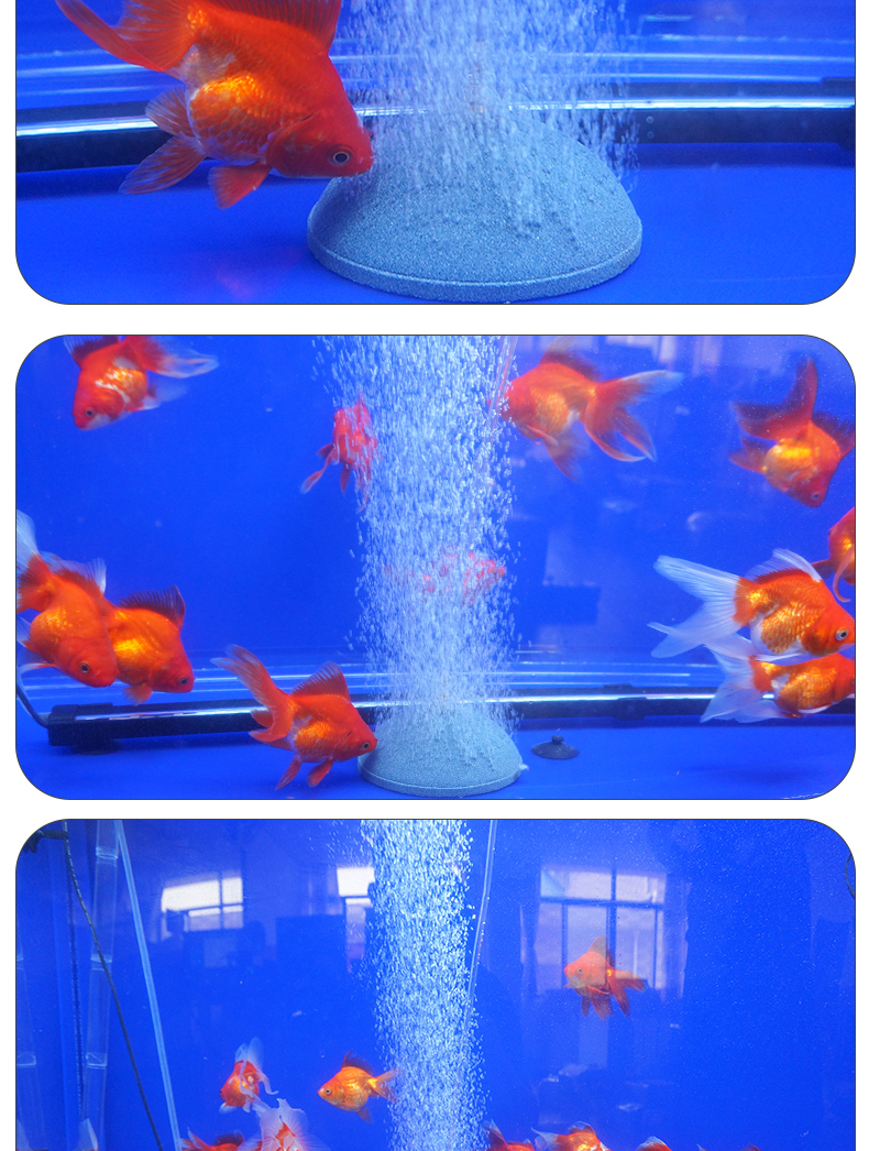 茉写宠物日用增氧气泡盘气盘石鱼缸水族箱面包形气泡盘增氧泵气饼气泡石曝气石 价格图片品牌报价 苏宁易购玖信宠物用品专营店