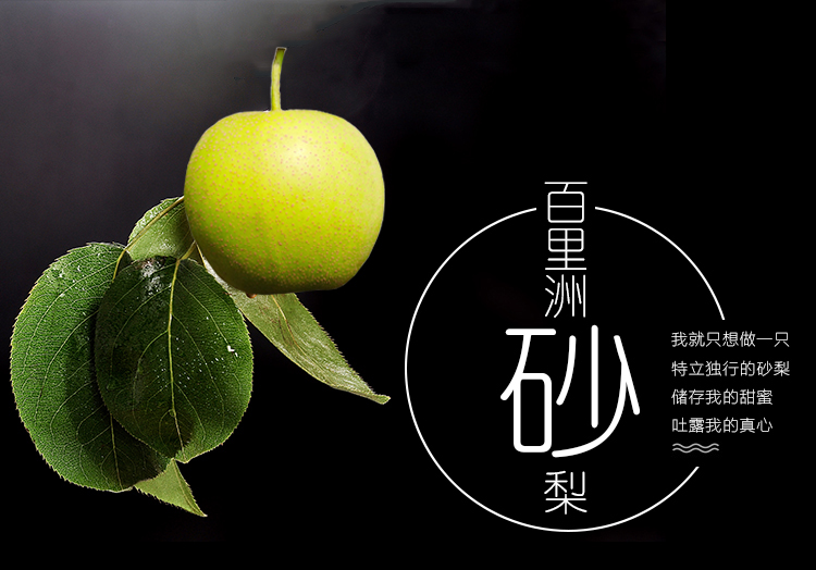 五个农民湖北省农科院百里洲砂梨精品金蜜脆梨5斤应季新鲜水果