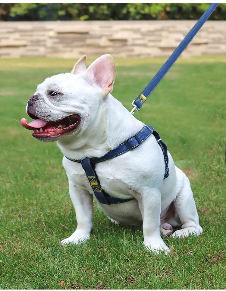 狗狗遛狗牵引绳背带胸背带绳子狗链子小型中型大型犬泰迪拴狗用品牵引
