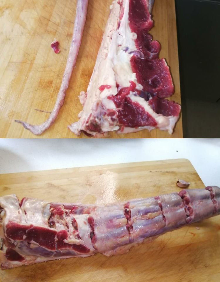 夏也牛肉 生整根牛尾巴1个 3-4斤 新鲜牛副 非