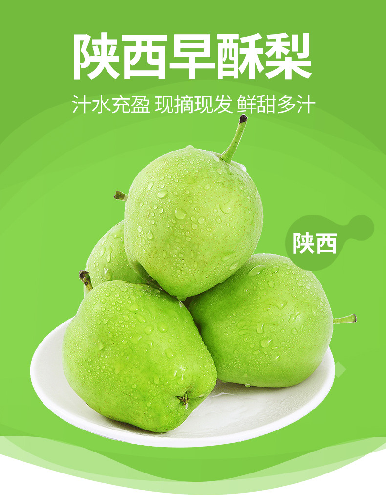 靓果汇陕西蒲城早酥梨5斤装约1416个左右果园直发脆甜多汁
