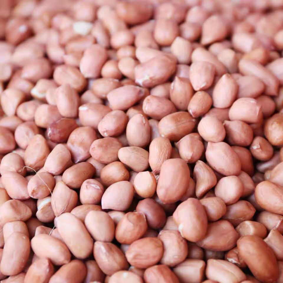 新花生米2020季新鲜生花生米白沙花生仁去壳生花生农产特产