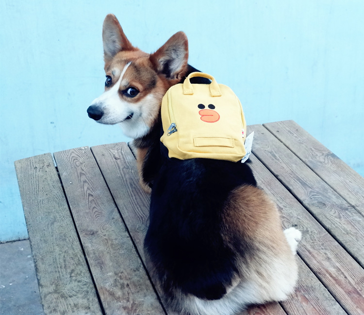 喃喃虎狗狗背包小书包外出泰迪法斗柴犬胸背便携包小型犬宠物零食自