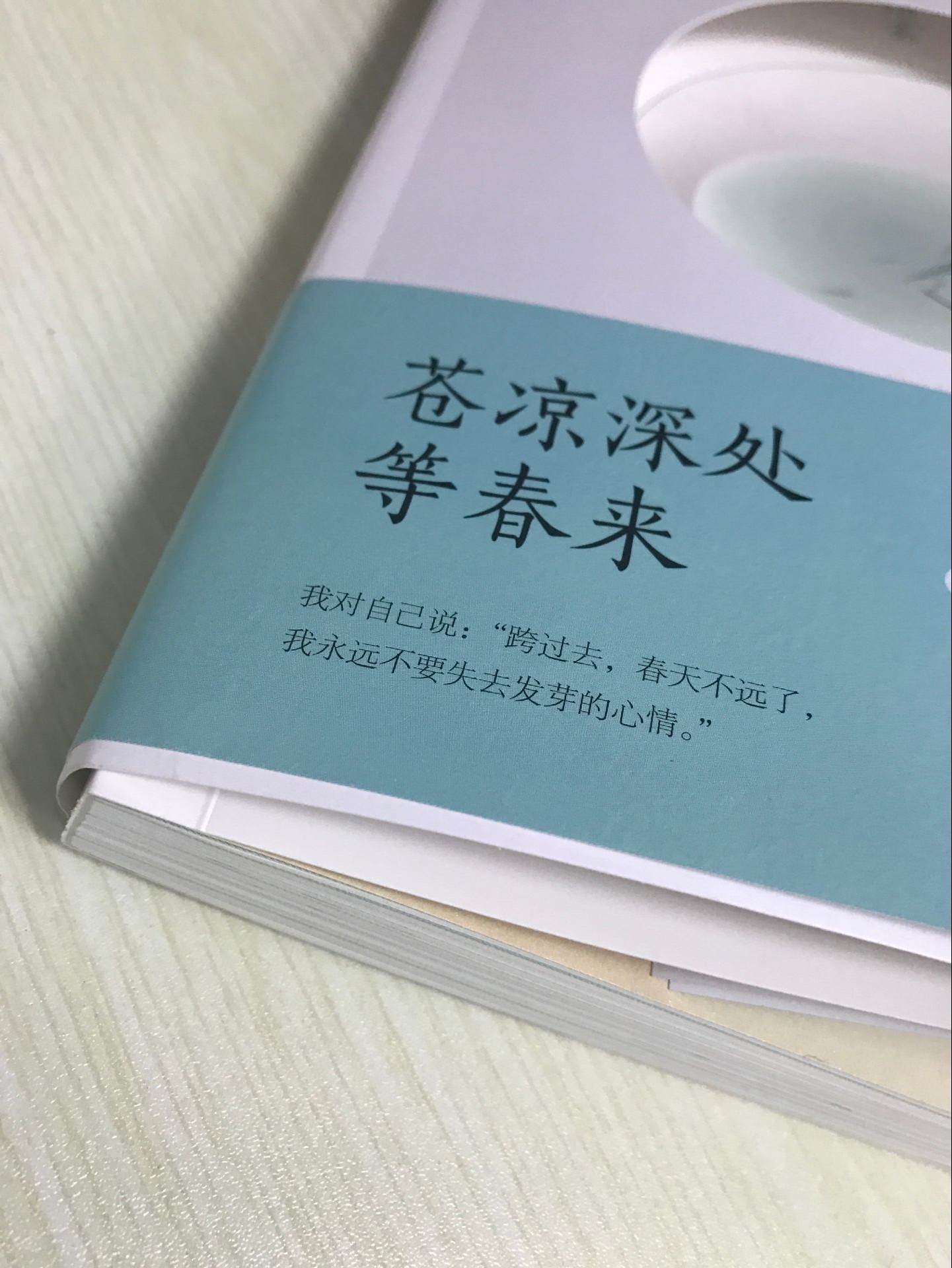 大师 温情励志散文集 古风禅意插画唯美典藏畅销书籍》林清玄著【摘要