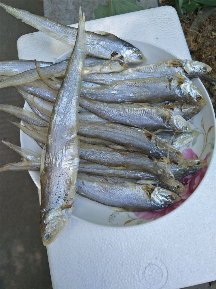 個人店其他品牌魚類 500克湖北特產毛魚毛刀魚野生清水乾貨小魚乾鳳尾