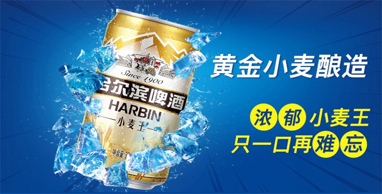 哈尔滨小麦王啤酒330ml罐