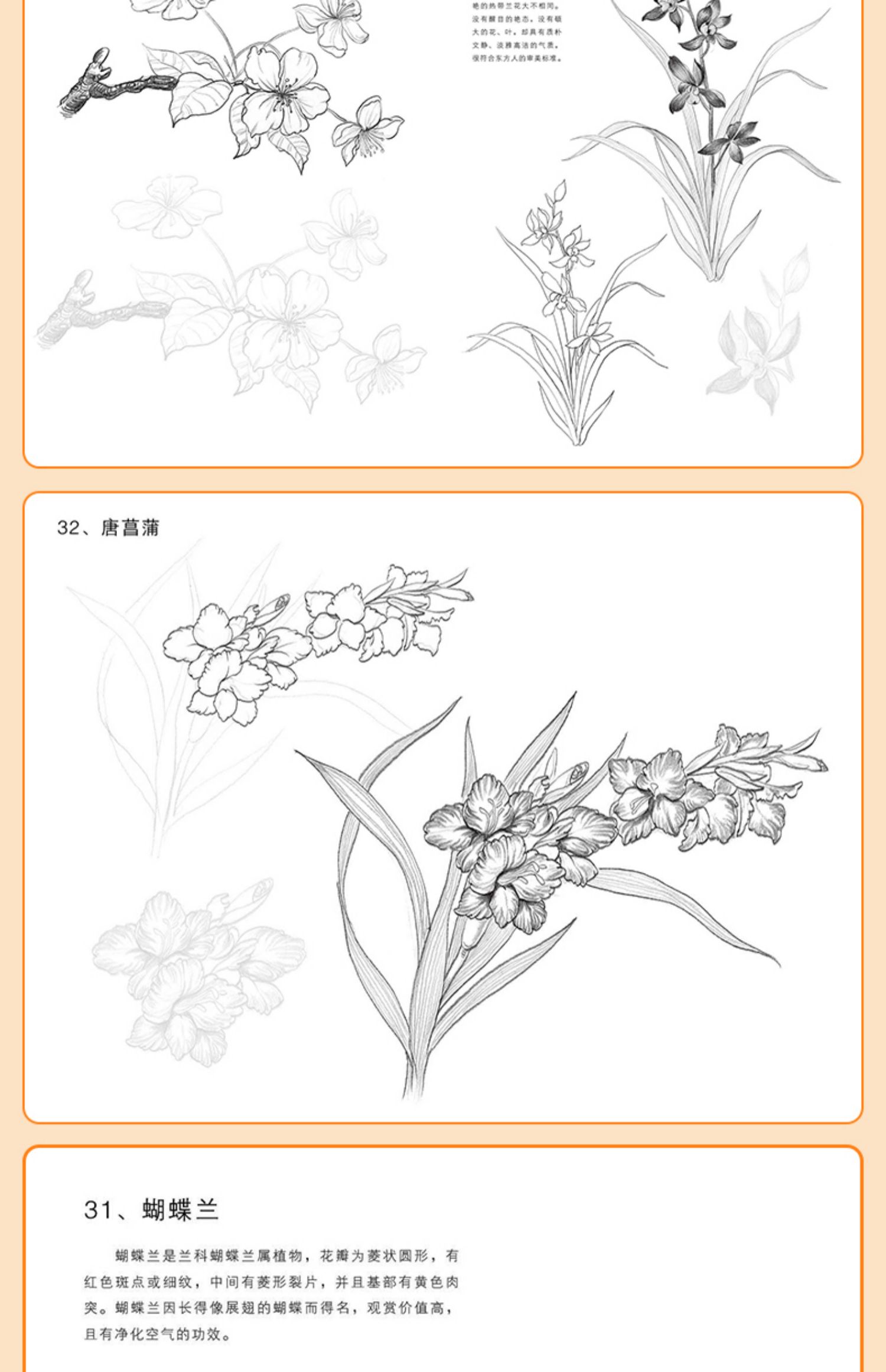 惠典正版經典花卉速寫描摹本零基礎畫畫入門新手自學教程書籍線描花卉