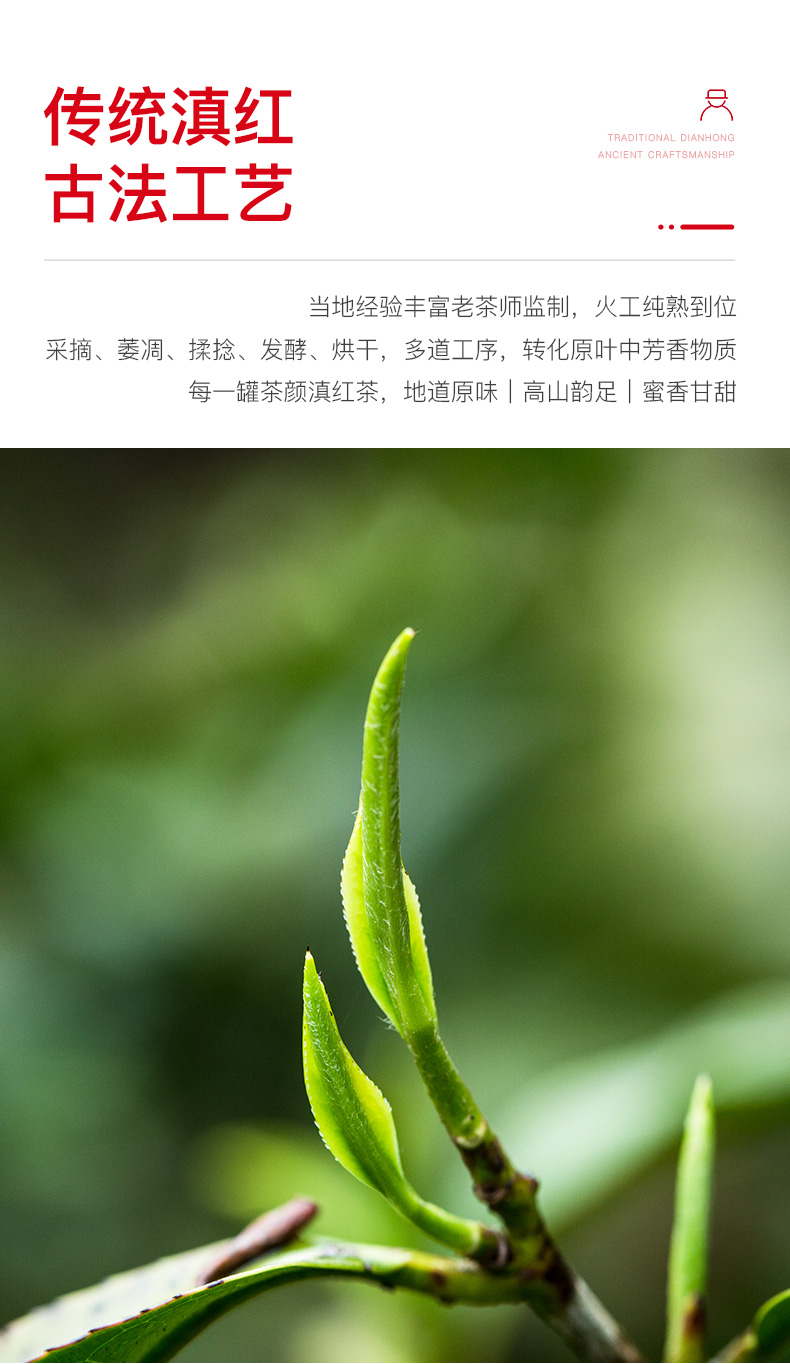 元正茶颜滇红茶特级云南滇红凤庆红茶松针茶叶正宗浓香型罐装50g