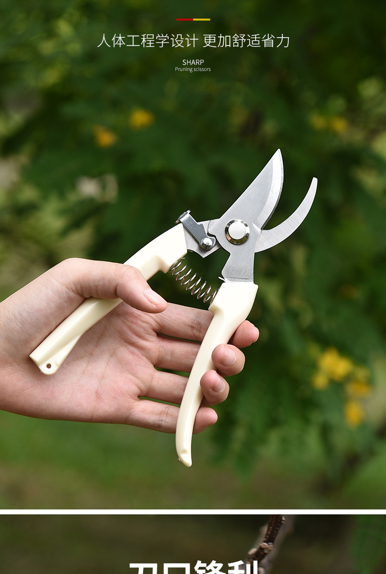 御蓝锦免磨剪枝剪刀园林花艺修剪树枝剪刀果树剪刀粗大花剪园艺剪子
