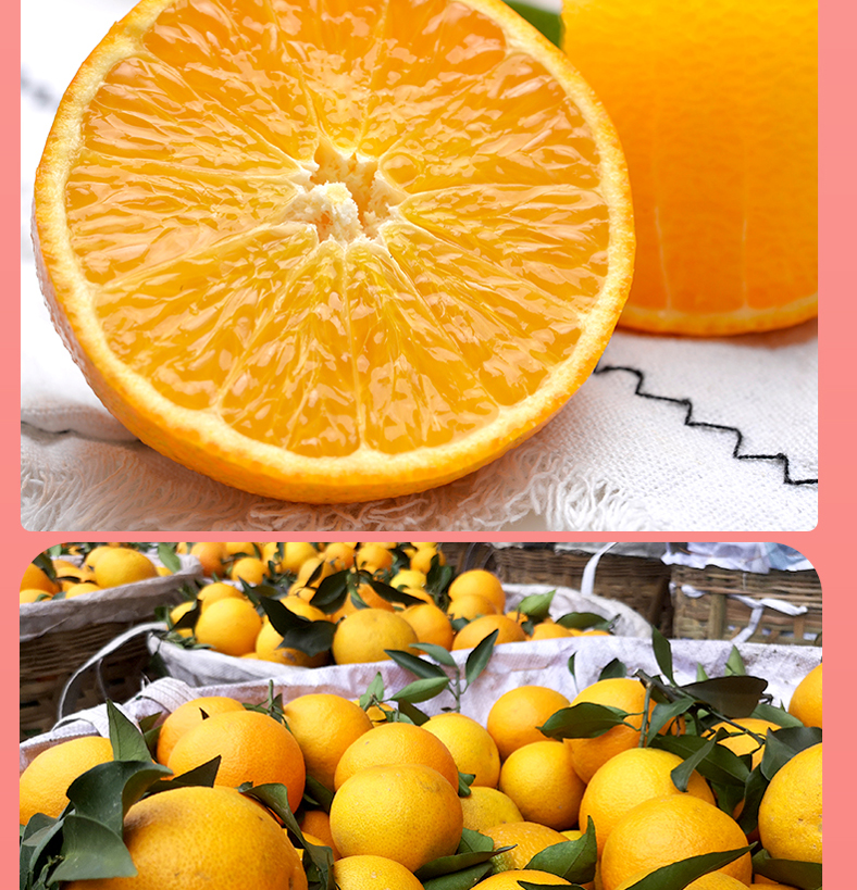 鲜火 四川爱媛38号果冻橙5斤装 单果65mm起 新鲜橙子【价格 图片 品牌