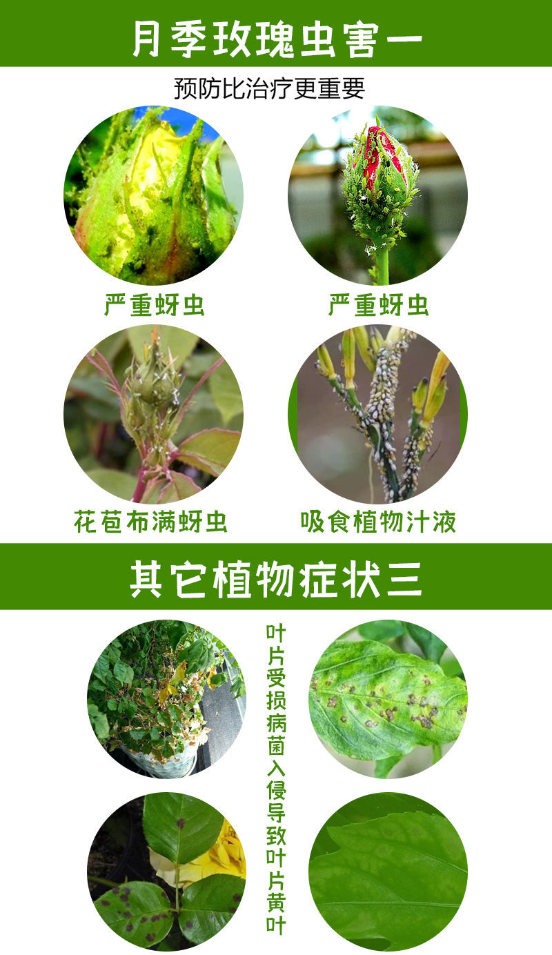 杀虫剂花卉百虫灵蔬菜绿植通用型蚧壳虫蚜虫白粉虱小黑飞专杀喷剂 1瓶