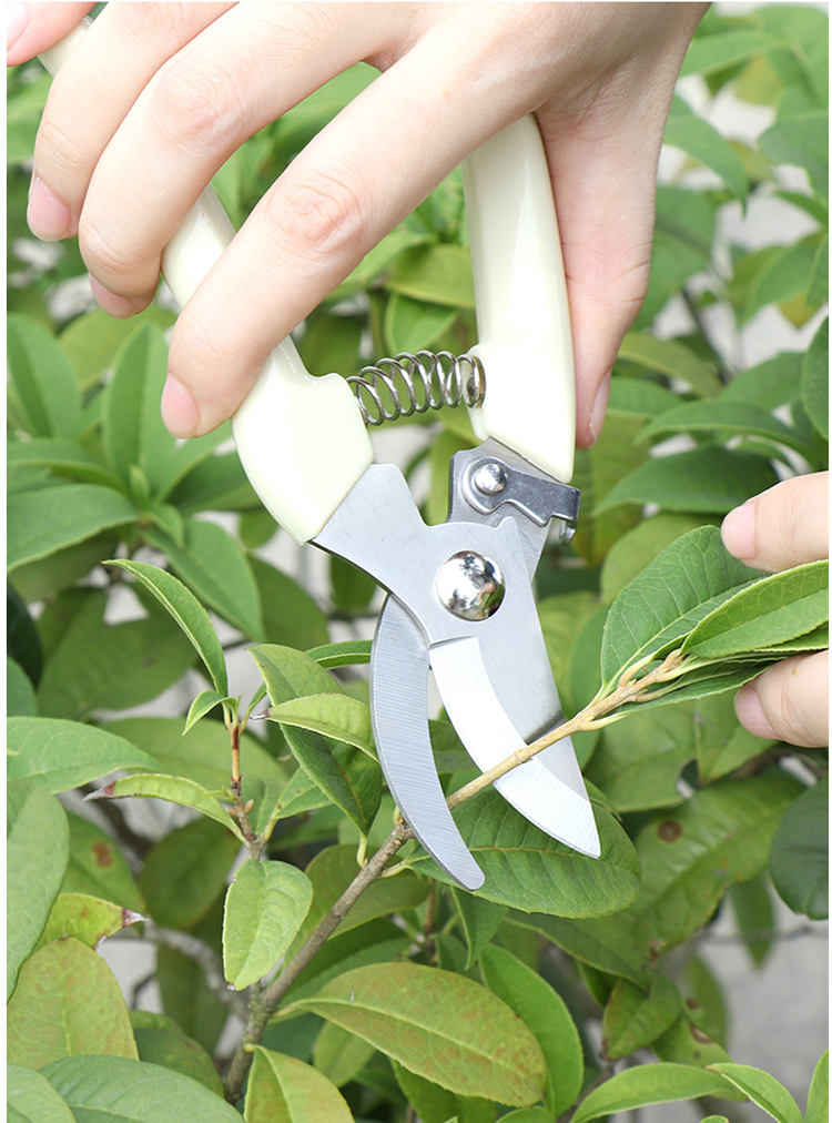 园林树枝不锈钢剪园艺用品修枝剪创意家用省力修花修树花卉造型剪刀