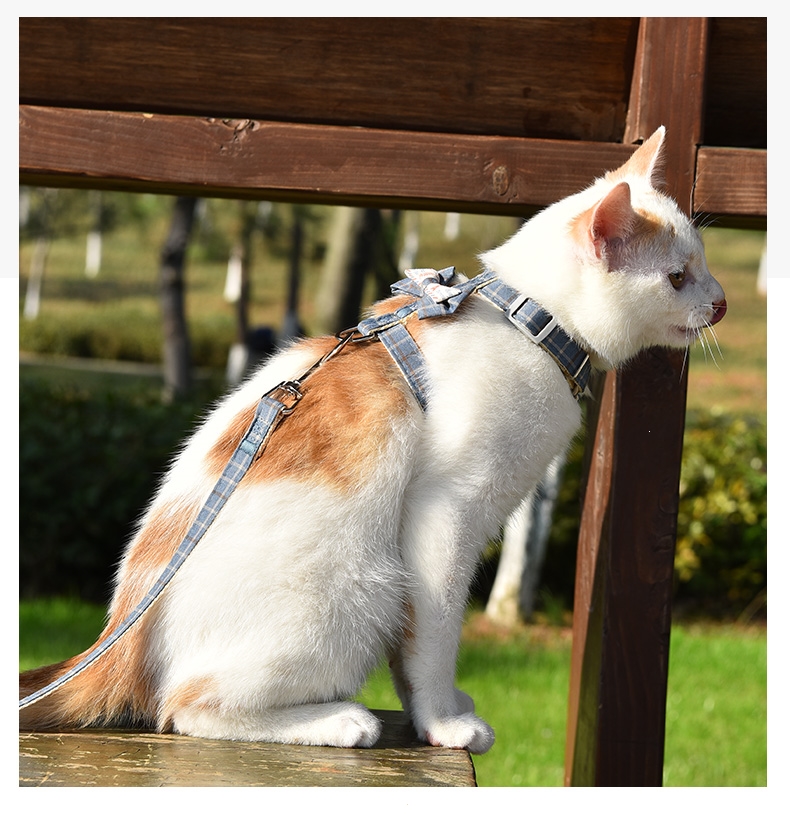 遛猫绳猫咪米妮牵引绳背心式防挣脱外出专用拴猫绳可爱幼猫背带猫链子