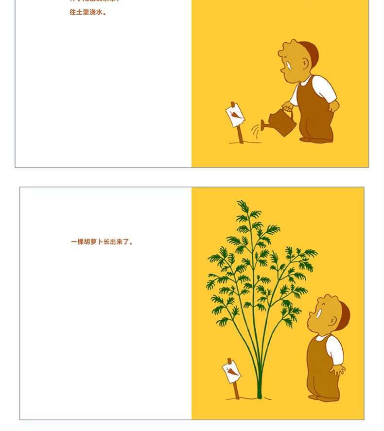 胡萝卜的种子儿童成长绘本图画书故事346岁小学生课外读物美国12部