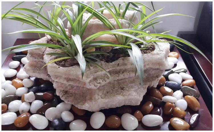 鱼缸石头子铺底部里的鹅卵石水池白色铺地养花小透气庭院造景装饰5斤