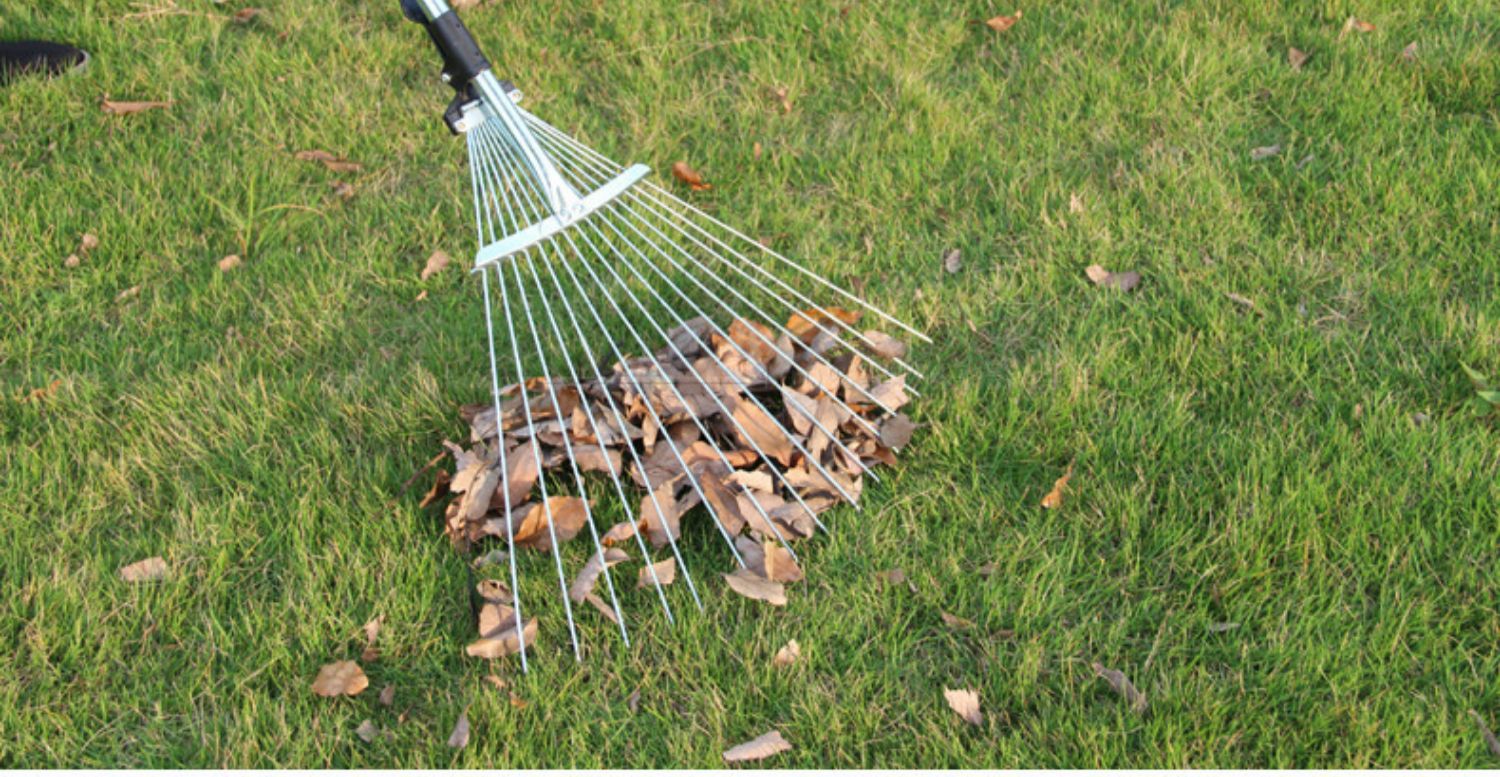 jing ping园林草耙子落叶耙15齿搂草铁耙子草坪清理耙伸缩园艺耙花园