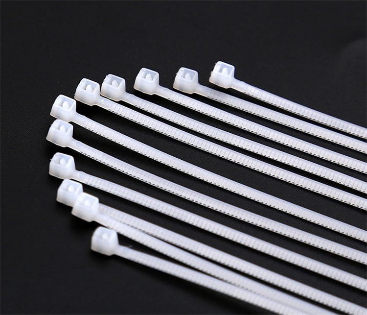 定做索带杂带塑料锁扣条绑扎带自锁式尼龙扎带大号宽固定拉条宽5mm长