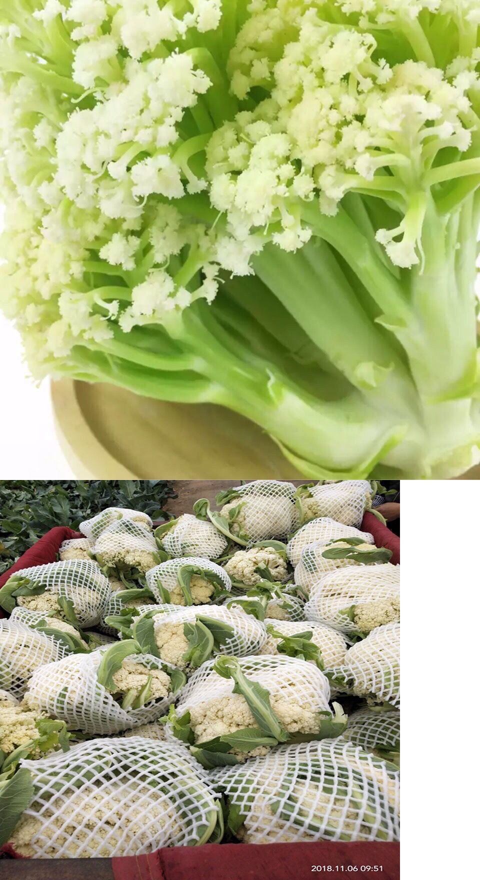 现采新鲜花菜当季农家自种有机菜花白菜花花椰菜青梗花3斤5斤