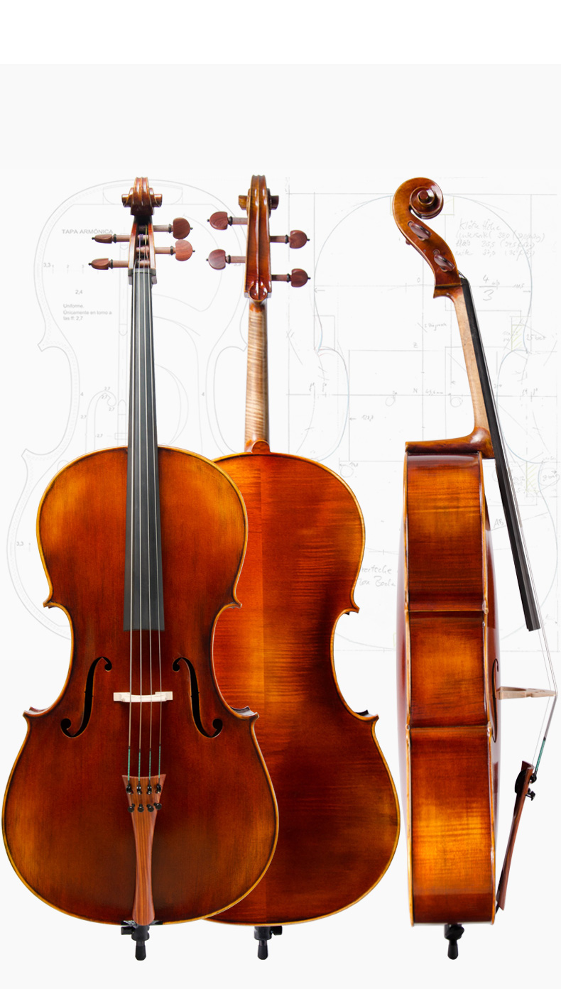 陈庄大提琴图片