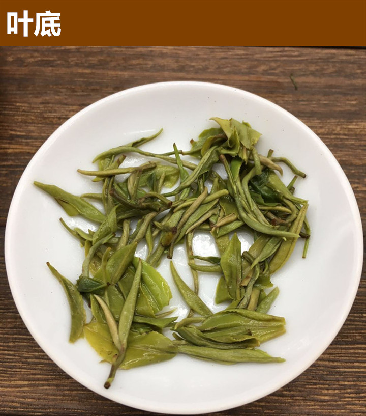 三江绿茶毛尖新茶广西柳州明前茶三江春茶