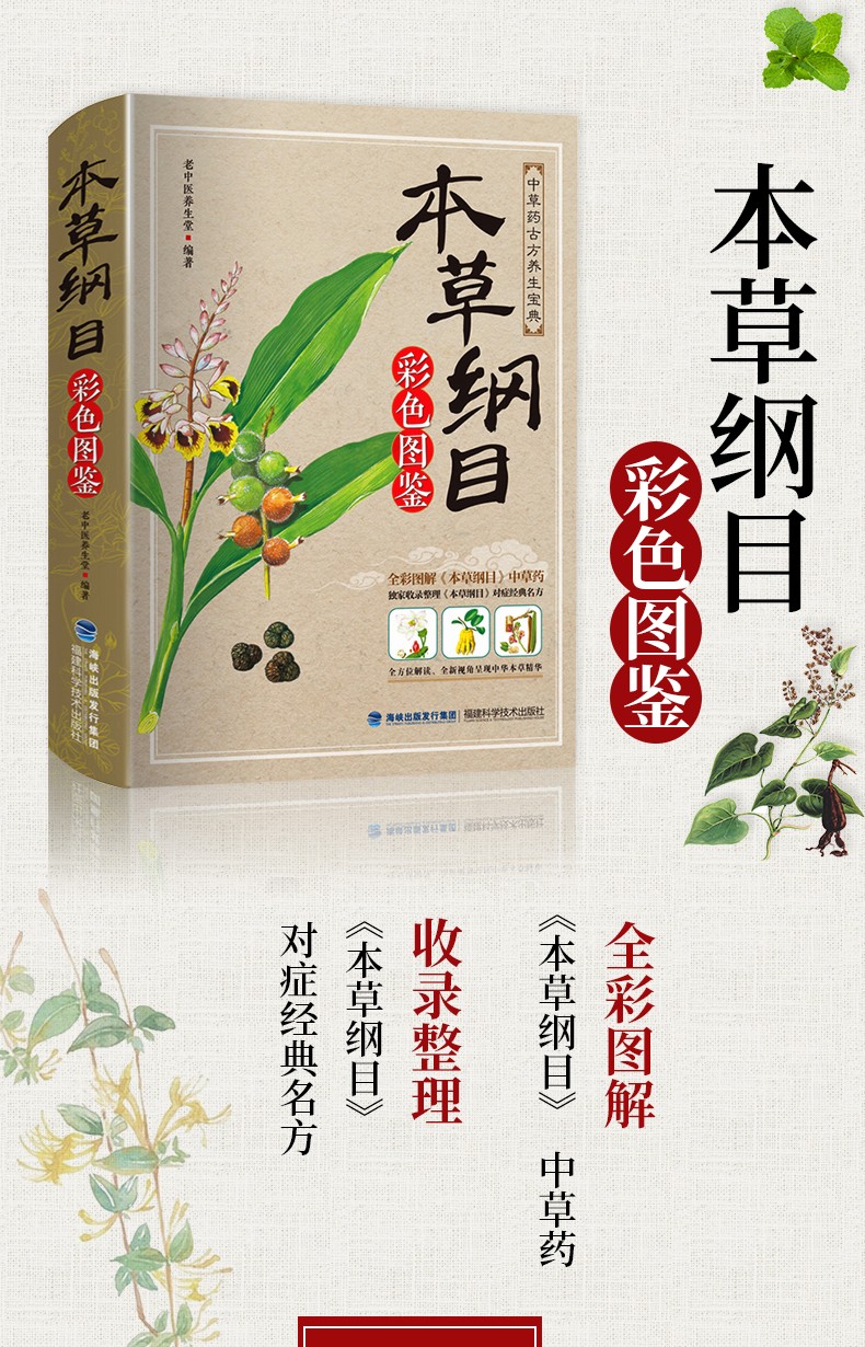 正版本草纲目李时珍全集彩图解本草纲目彩图版原著中医养生书籍大全中