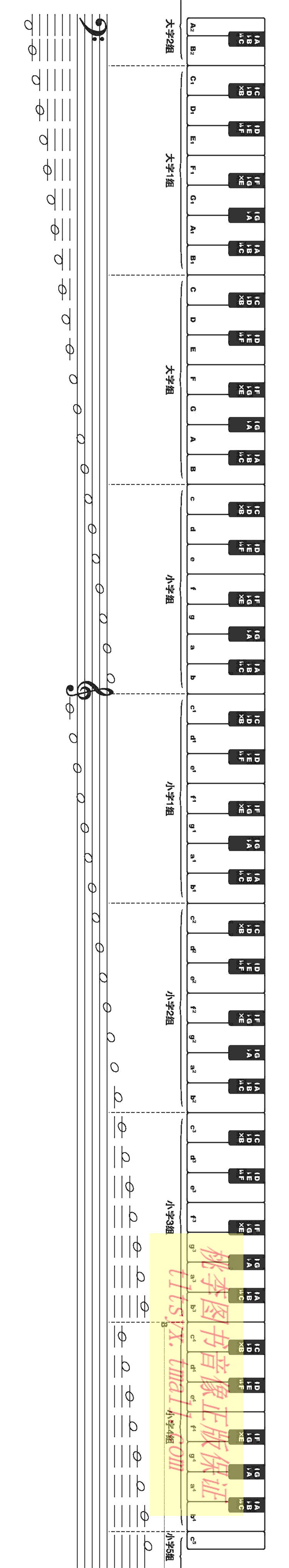 惠典正版88键标准尺寸钢琴键盘纸1比1钢琴指法练习纸五线谱键盘挂图