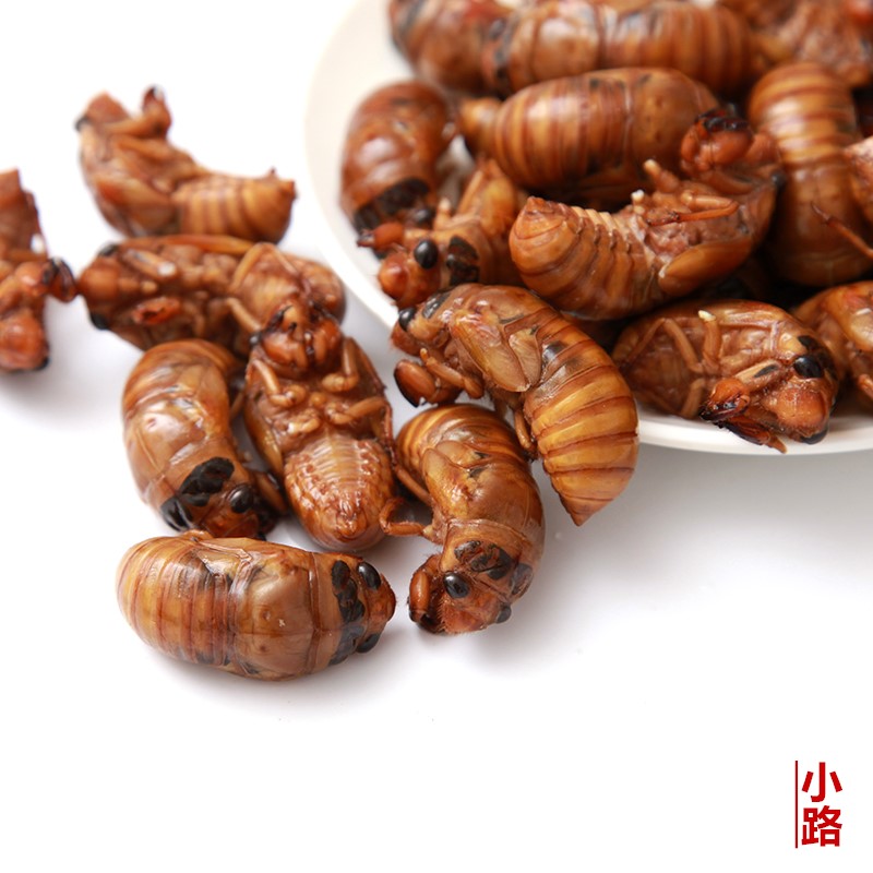 金蝉知了猴1斤装2份野生节流龟唐僧