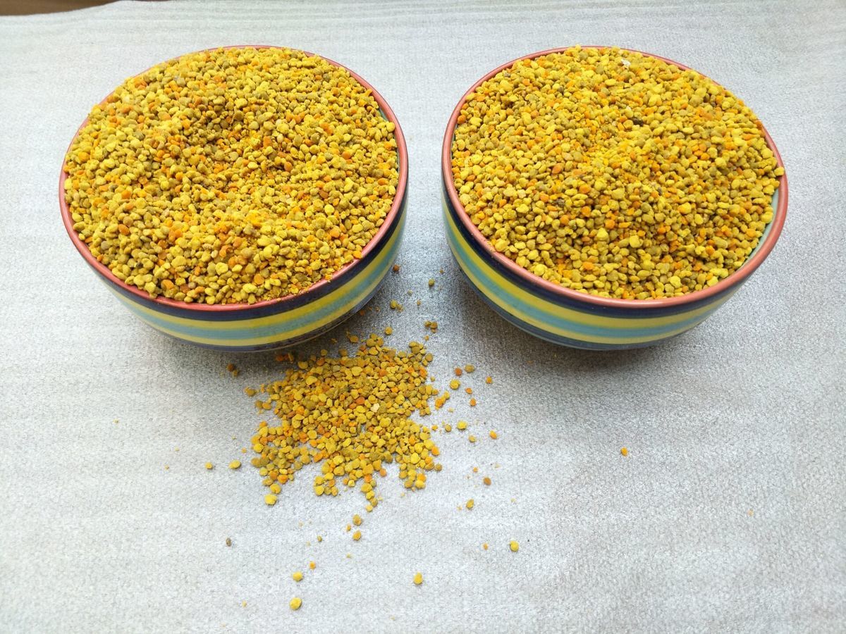 蜜蜂花粉养蜂花粉花粉蜂粮中蜂花粉蜂粮油菜花喂蜂花粉2020青海新100g