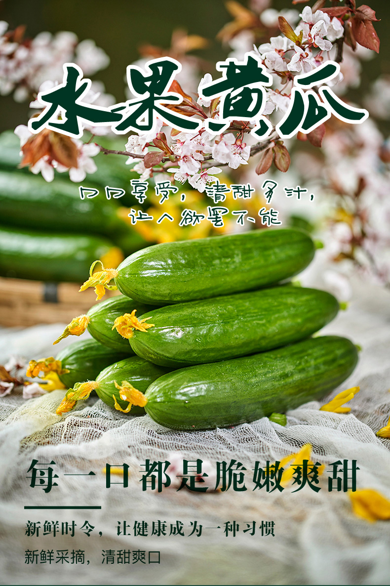 水果小黄瓜新鲜5斤当季山东小青瓜生吃农家蔬菜助白玉女瓜